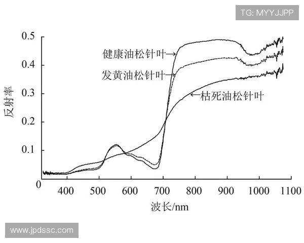 IG边路渗透战术分析及其对比赛结果的影响探讨 IG边路渗透战术分析及其对比赛结果的影响探讨