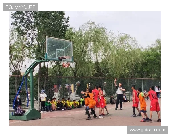 对话刘娜：从球场到人生的启示与篮球生涯的精彩回顾