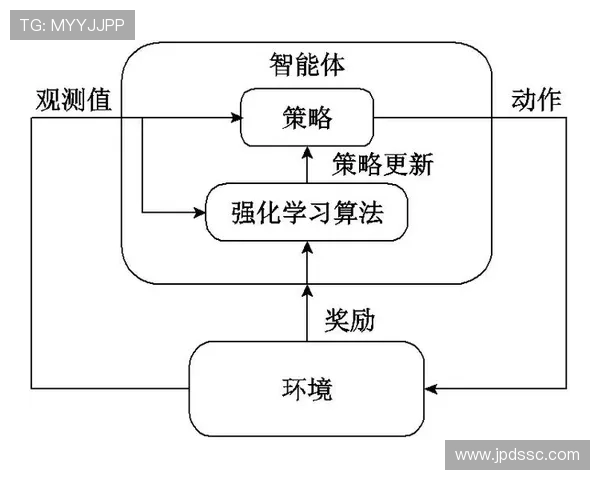 杭州网球队的控制策略与深度分析：探寻网球运动的核心秘密